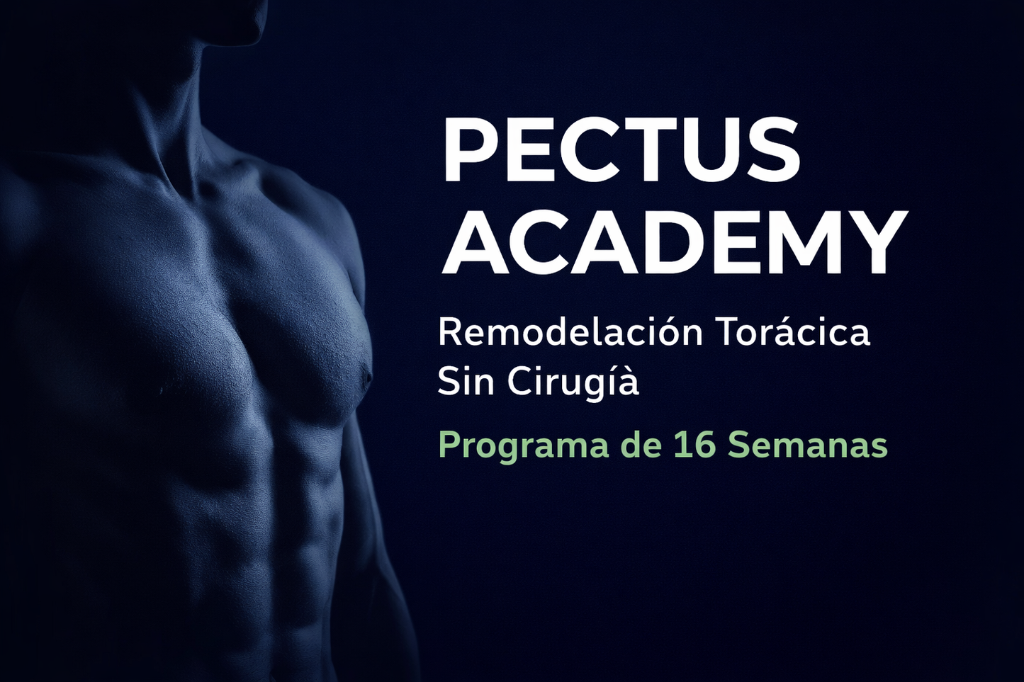Pectus Academy: El Sistema Completo de 16 Semanas (Remodelación Torácica Sin Cirugía)