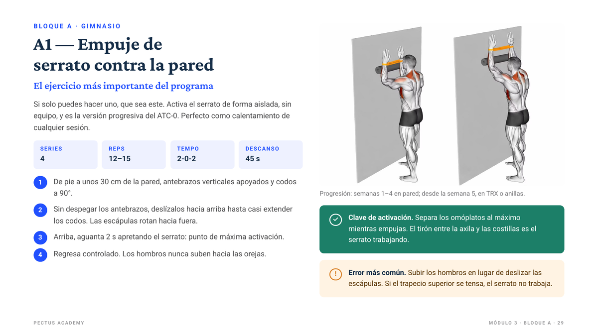 Página de muestra de la guía: ficha del ejercicio A1, empuje de serrato contra la pared
