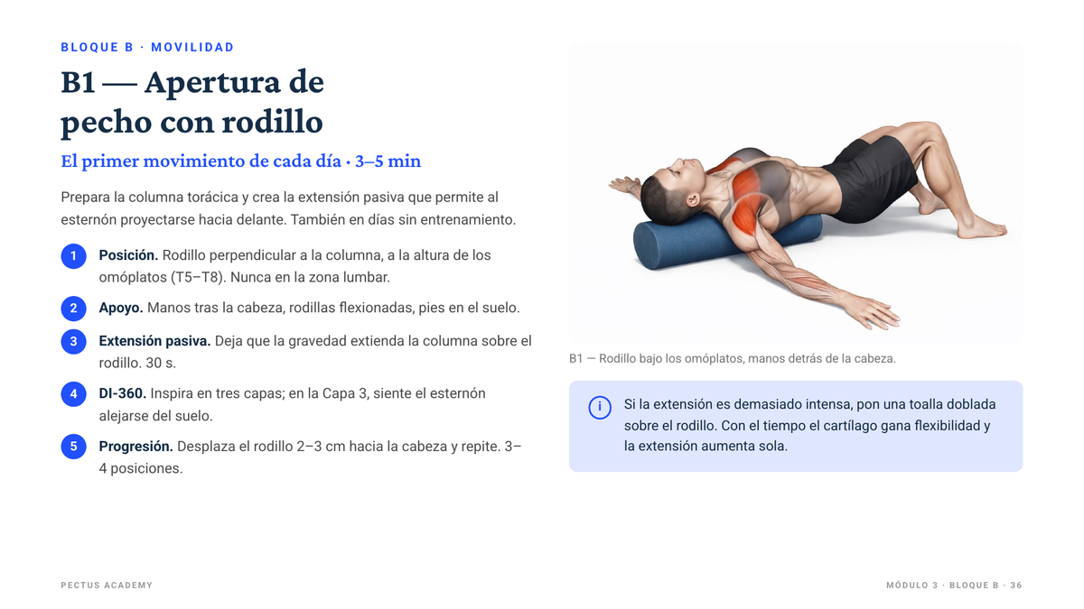 Página de muestra de la guía: ficha del ejercicio B1, apertura de pecho con rodillo