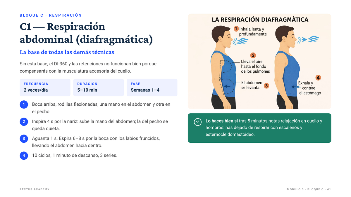 Página de muestra de la guía: ficha de la técnica C1, respiración abdominal